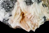 Cerussite Crystals with Bladed Barite on Galena - Morocco #165725-1